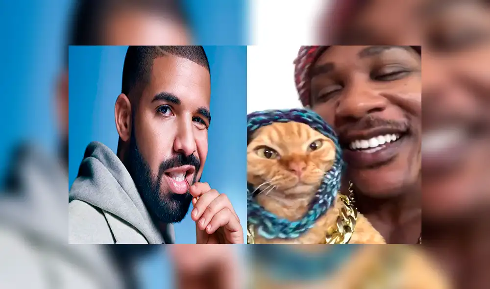 Facebook viral: joven juega con su pequeño gato y le dedica una canción de Drake a su propio estilo [VIDEO]