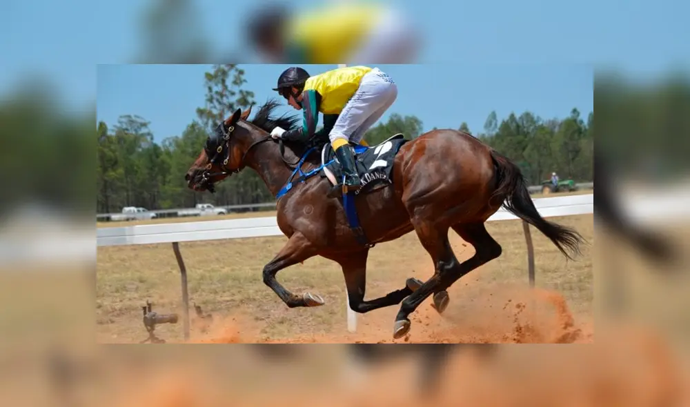 El equino pasó la valla e ingresó a la tribuna. Fuente: foto referencial.