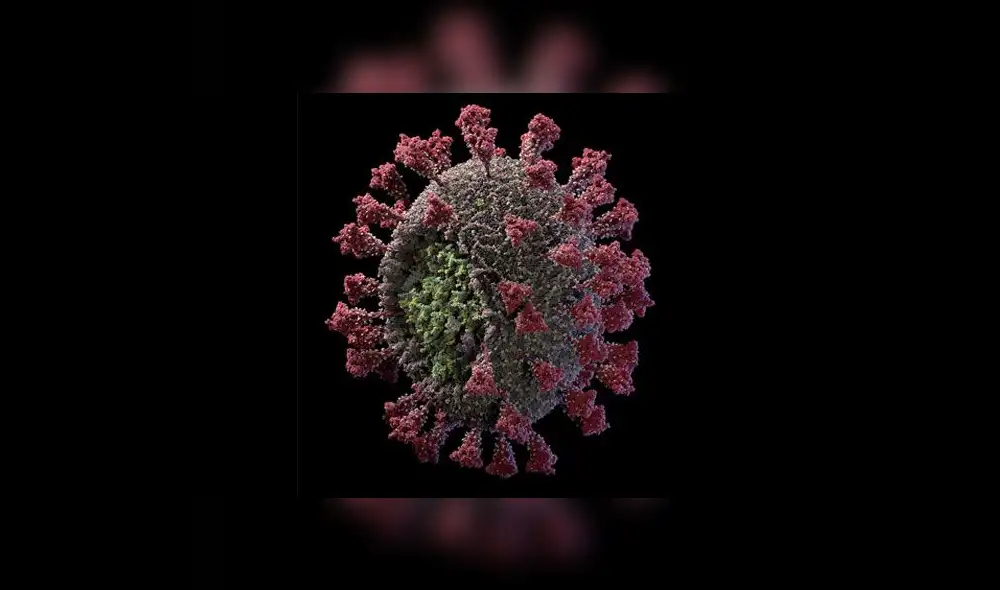 Imagen 3D del coronavirus SARS-CoV-2. Crédito: Visual Science.