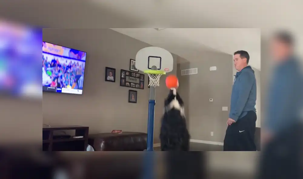 Desliza a la izquierda para conocer más sobre este nuevo video viral de YouTube. Foto: Captura. Desliza a la izquierda para conocer más sobre este nuevo video viral de YouTube. Foto: Captura.