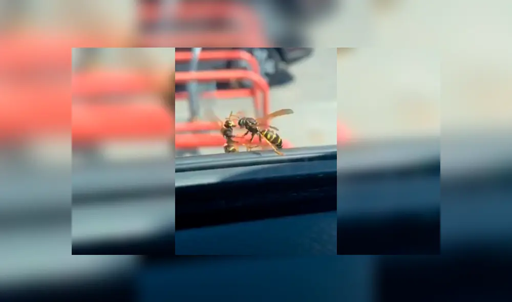 Desliza la imagen compartida en Facebook para ver todas las fotos. Desliza la imagen compartida en Facebook para ver todas las fotos.