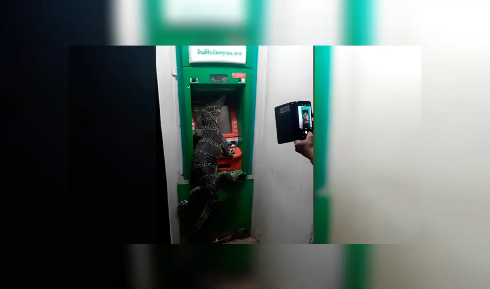 Video viral de YouTube muestra el perturbador momento que pasaron los usuarios de un cajero automático tras encontrar a un enorme lagarto Video viral de YouTube muestra el perturbador momento que pasaron los usuarios de un cajero automático tras encontrar a un enorme lagarto