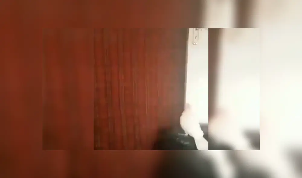 Facebook: Cacatúa tiene un insólita reacción al ver un increíble truco de magia de su dueño [VIDEO]