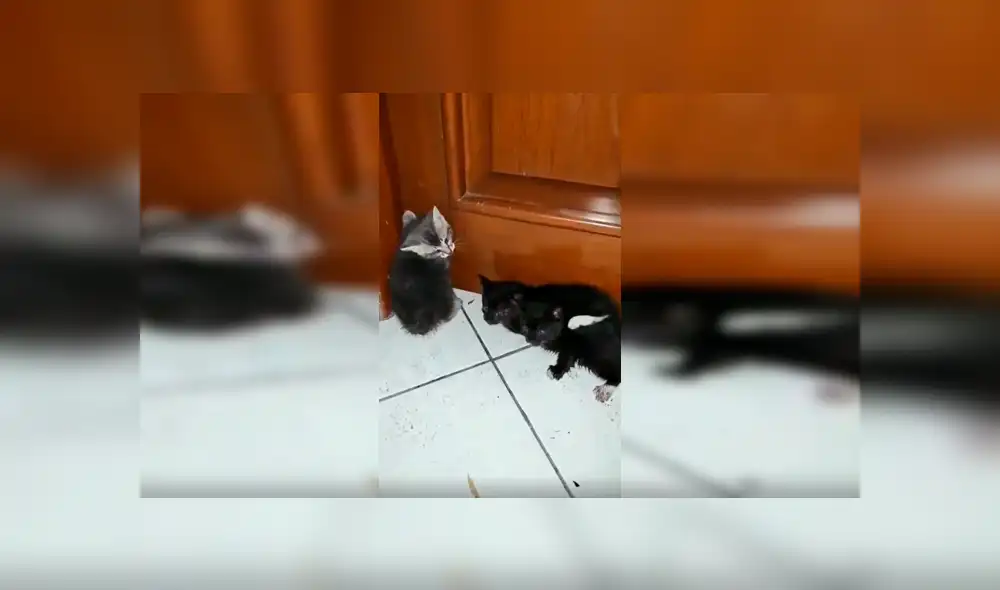 Desliza para ver los detalles de esta historia que se viralizó en Facebook. Foto: Captura.