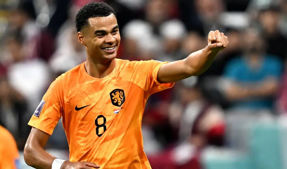 Países Bajos vs. Qatar se enfrentarán por el grupo A. Foto: EFE Países Bajos vs. Qatar se enfrentarán por el grupo A. Foto: EFE