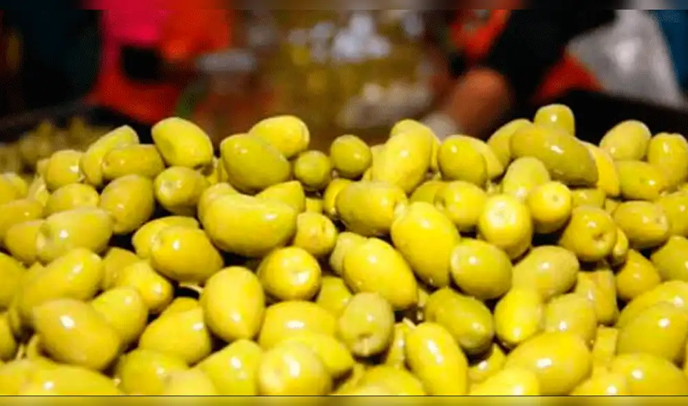 INEI: Producción de aceituna creció en más de 291% en mayo y registró récord INEI: Producción de aceituna creció en más de 291% en mayo y registró récord