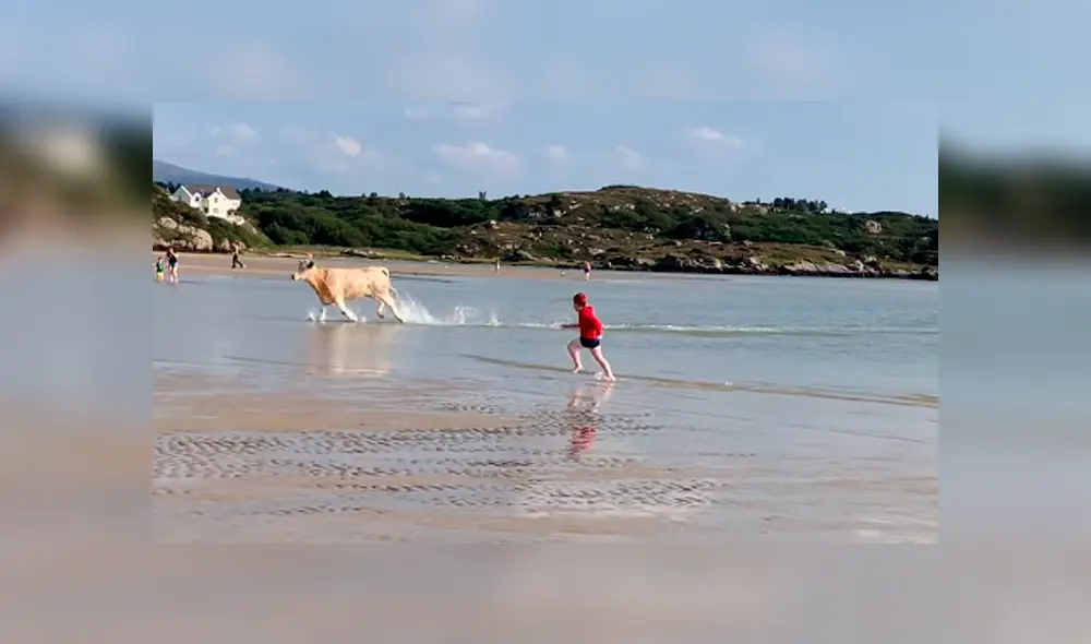 Desliza para ver a la vaca huyendo cuando se percata de la presencia de dos niños. Foto: ViralHog / YouTube