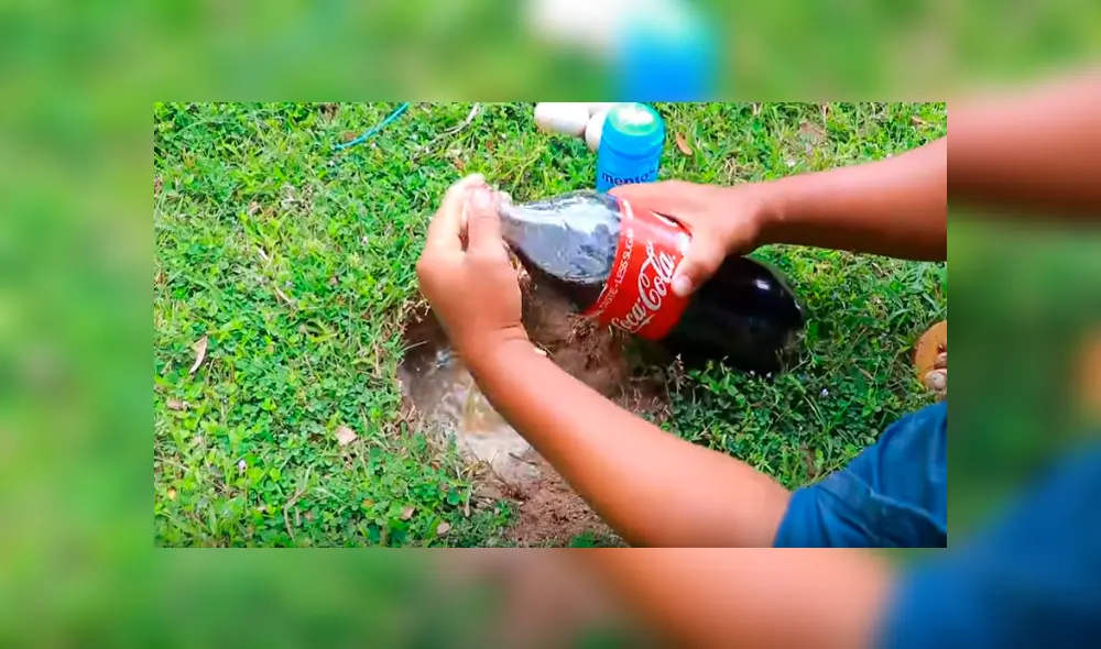 Desliza hacia la izquierda para ver a los animales que emergieron del hoyo. Video es viral en YouTube. Desliza hacia la izquierda para ver a los animales que emergieron del hoyo. Video es viral en YouTube.