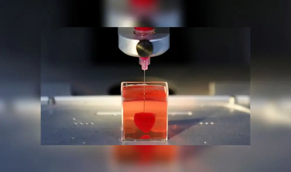 Crean el primer corazón "completo, vivo y que palpita" impreso en 3D con tejido humano [FOTOS]
