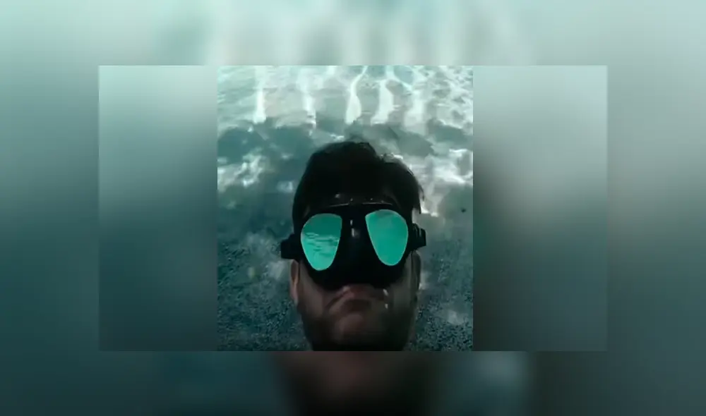 Un video muestra el aterrador momento en el que un buzo se topa con una enorme criatura.