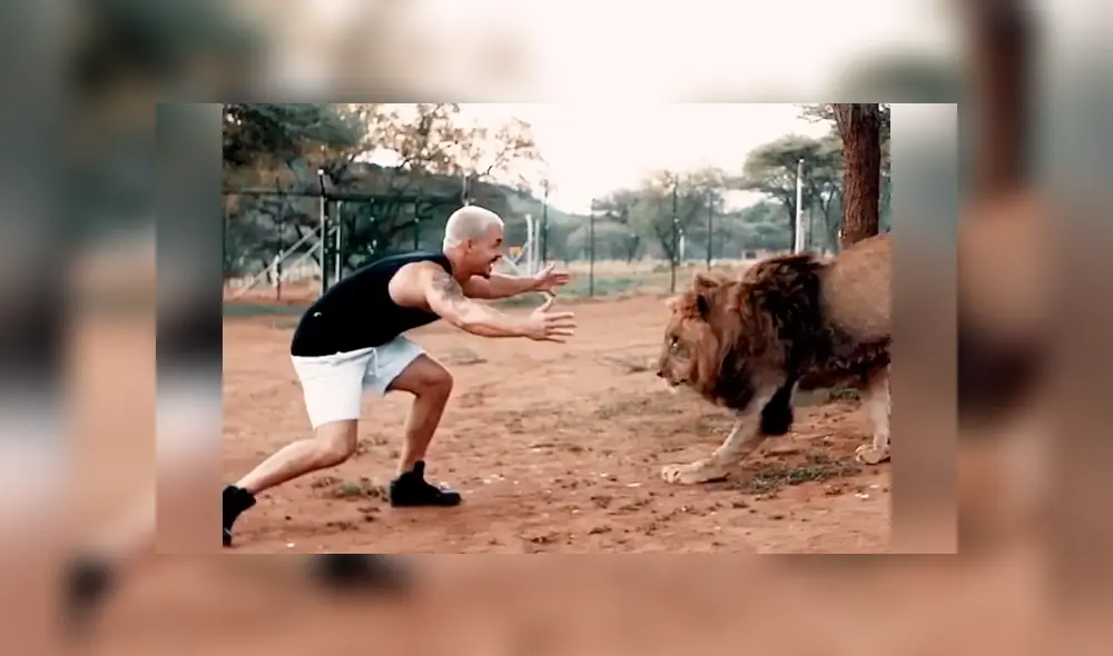 Desliza hacia la izquierda para ver el reencuentro del hombre con un enorme león que se volvió viral en YouTube.