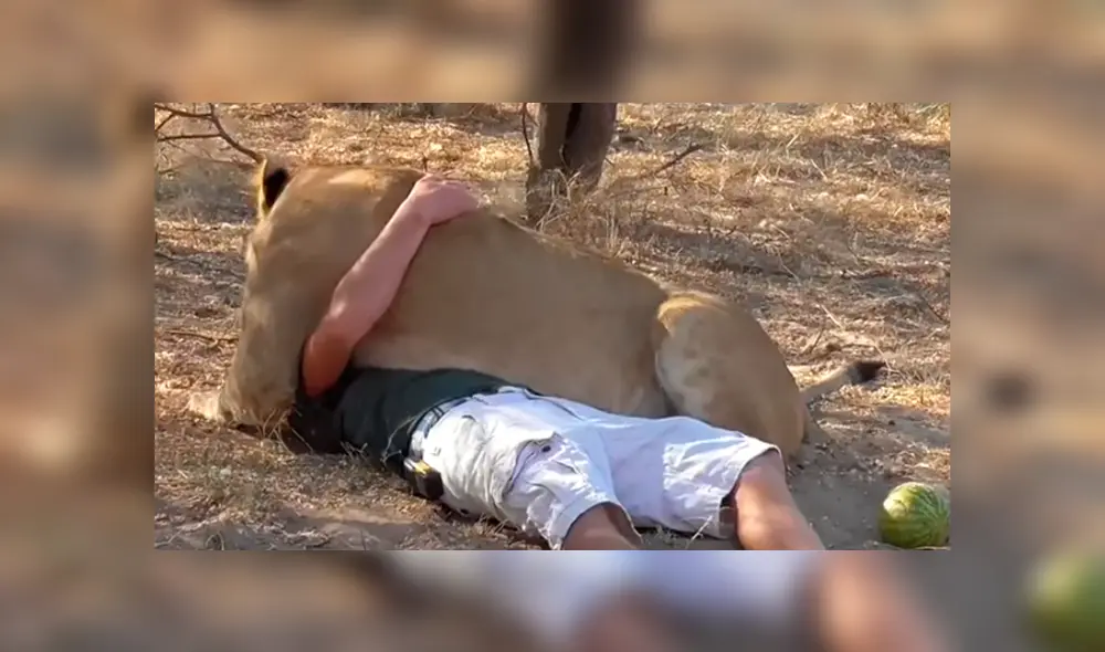 Desliza hacia la izquierda para ver el conmovedor reencuentro. Imágenes del video viral de YouTube. Desliza hacia la izquierda para ver el conmovedor reencuentro. Imágenes del video viral de YouTube.