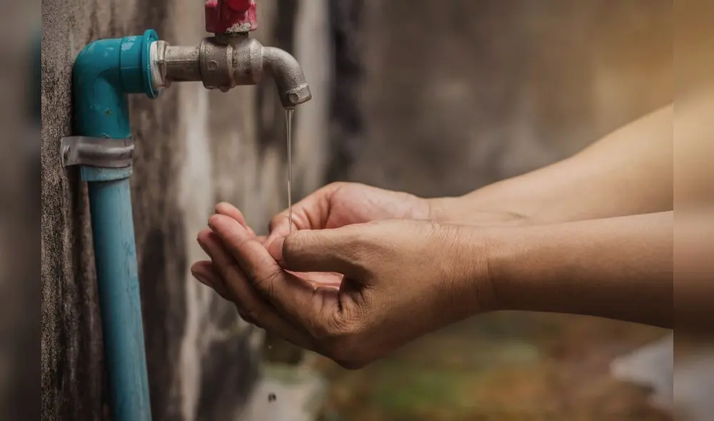 (Foto: Sutterstock) (Foto: Sutterstock)