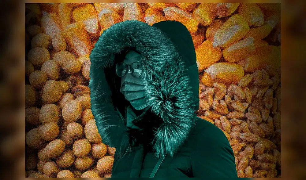 Maíz, soja y trigo Maíz, soja y trigo