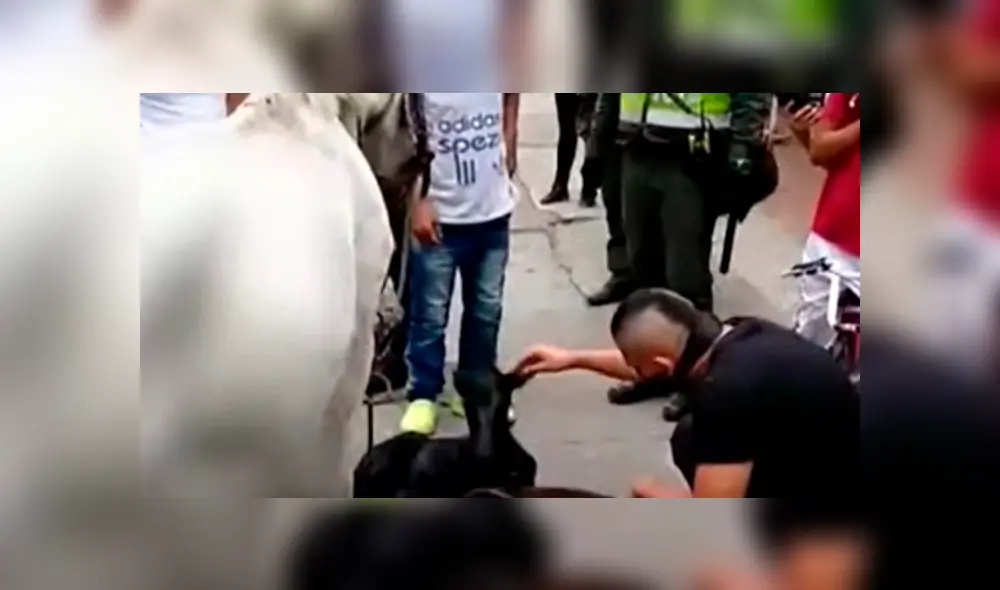 Yegua dio a luz en plena calle mientras era obligada a jalar un pesado carruaje. Foto: Captura Noticias Caracol Yegua dio a luz en plena calle mientras era obligada a jalar un pesado carruaje. Foto: Captura Noticias Caracol