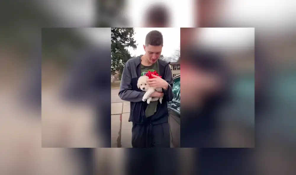 Desliza las imágenes para conocer la emotiva sorpresa que preparó un joven para entregarle un regalo a su madre.