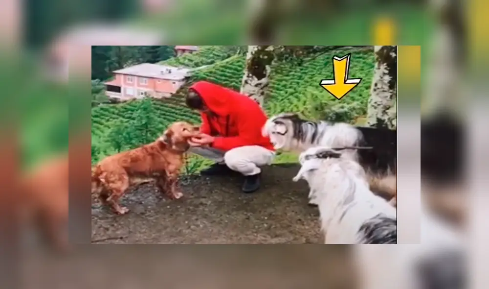 Desliza para ver todas las imágenes de Facebook.