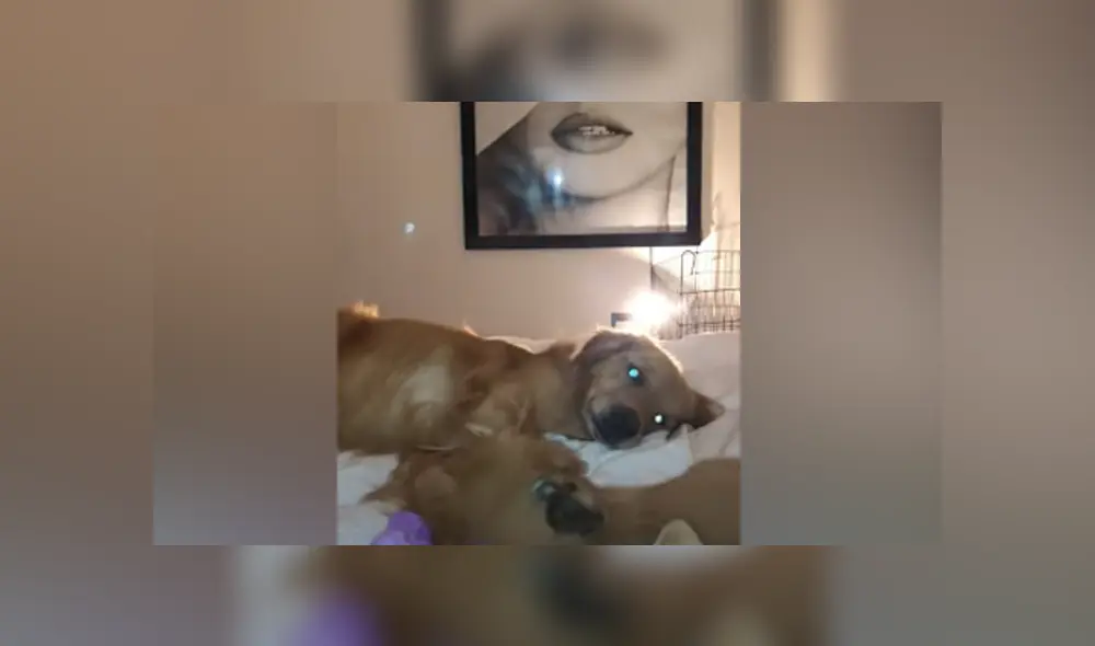 Desliza hacia la izquierda para ver las imágenes del viral de Facebook. Desliza hacia la izquierda para ver las imágenes del viral de Facebook.