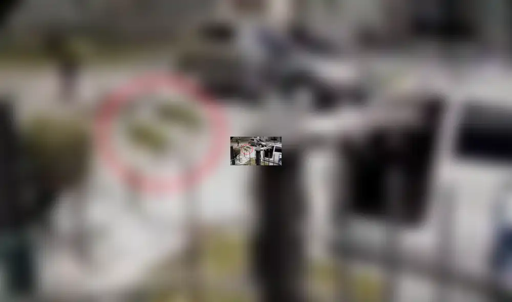 YouTube viral: Perros ven que su dueño es asaltado con pistola y lo rescatan valerosamente [VIDEO] 