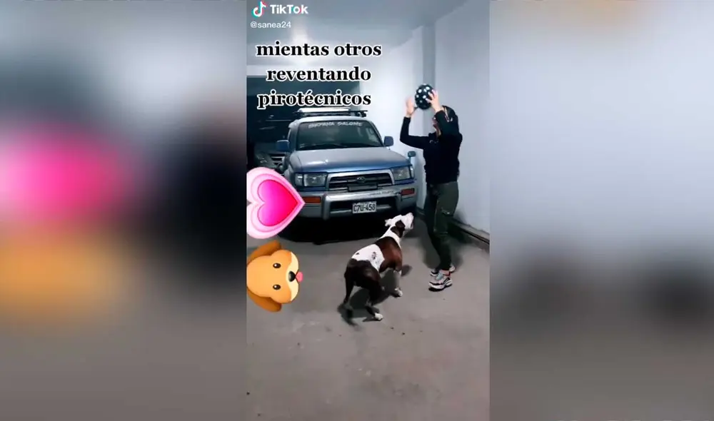 Desliza las imágenes para ver el curioso gesto que tuvo esta joven con su mascota para que no tenga miedo por los pirotécnicos. Foto: captura de TikTok/@sanea24