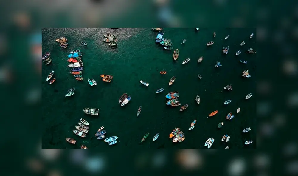 “Pacificum, el retorno al océano” ya se estrenó: conoce los cines donde puedes verla 