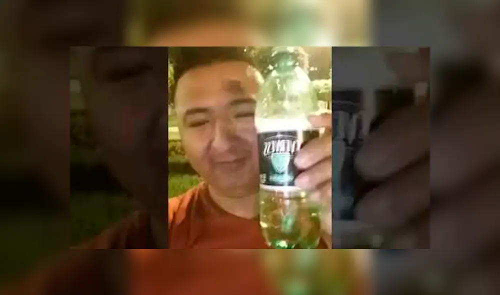 Google Translate: 'Tapir 590' es la nueva victima del traductor por los resultados que dejaron en shock a miles [FOTOS]