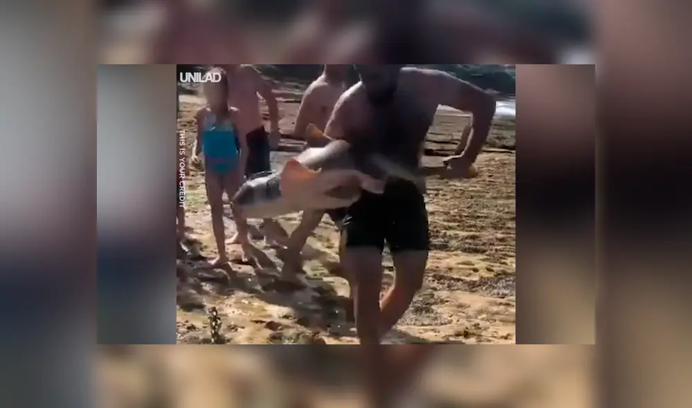 Jóvenes encuentran a tiburón atrapada entre dos piedras, la ayudan y calman su dolor [VIDEO] 
