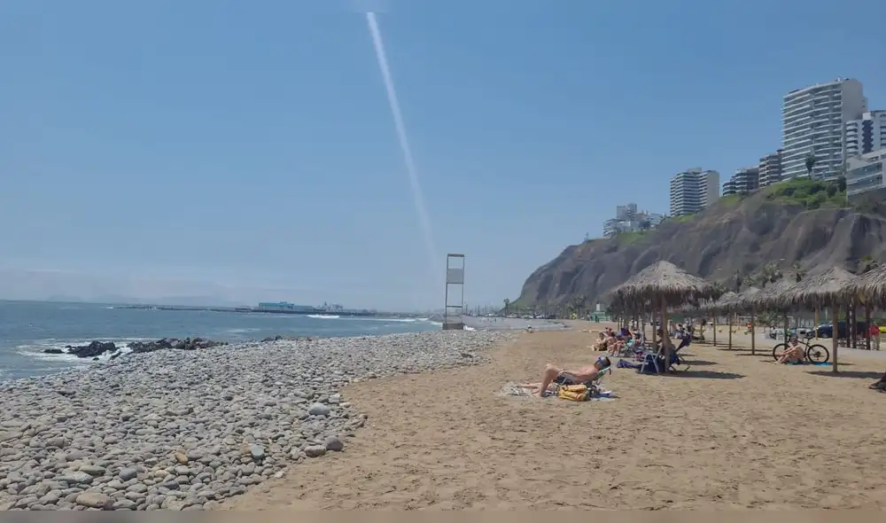 Alcalde miraflorino pidió el cierre de playas ante aumento de aves muertas a causa de la gripe aviar. Foto: Jessica Merino/URPI-LR