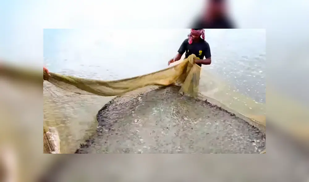 YouTube viral: lanza alimento a misterioso lago y miles de criaturas marinas emergen para devorarlo YouTube viral: lanza alimento a misterioso lago y miles de criaturas marinas emergen para devorarlo