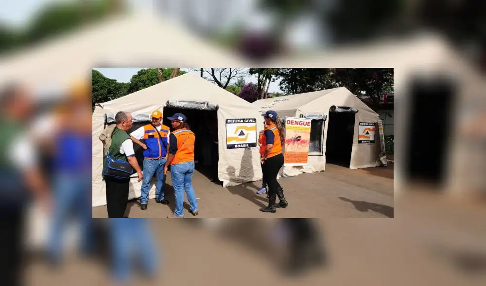 El virus del dengue se transmite pincipalmente por mosquitos de la especie 'Aedes Aegypti'. (Foto: Aleteia)