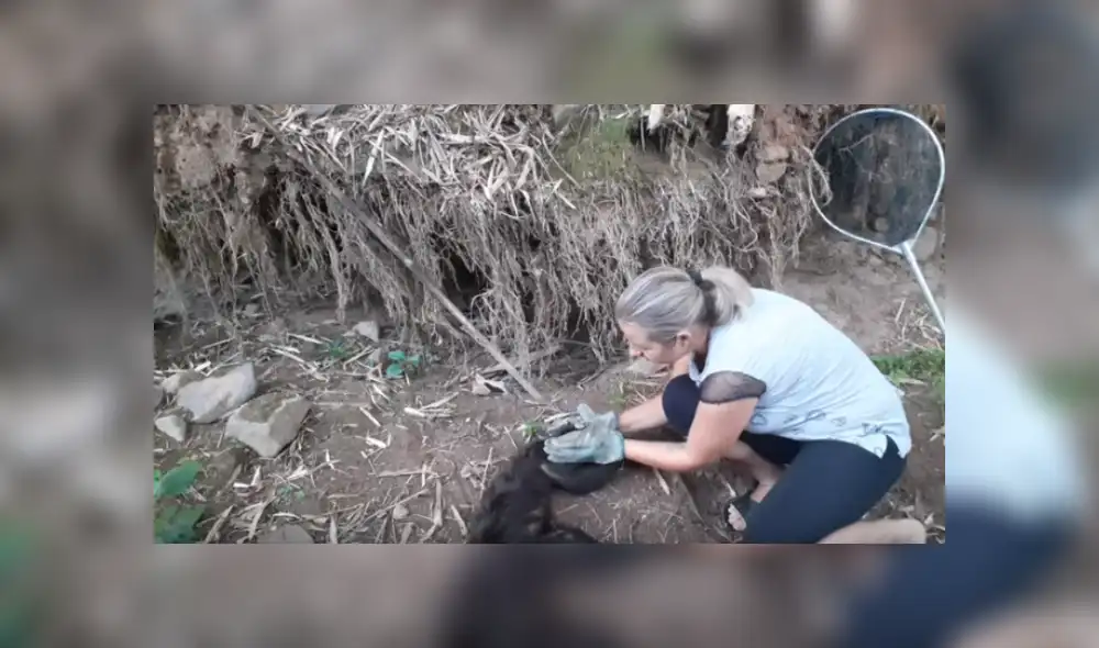 Desliza hacia la izquierda para ver más del video viral.