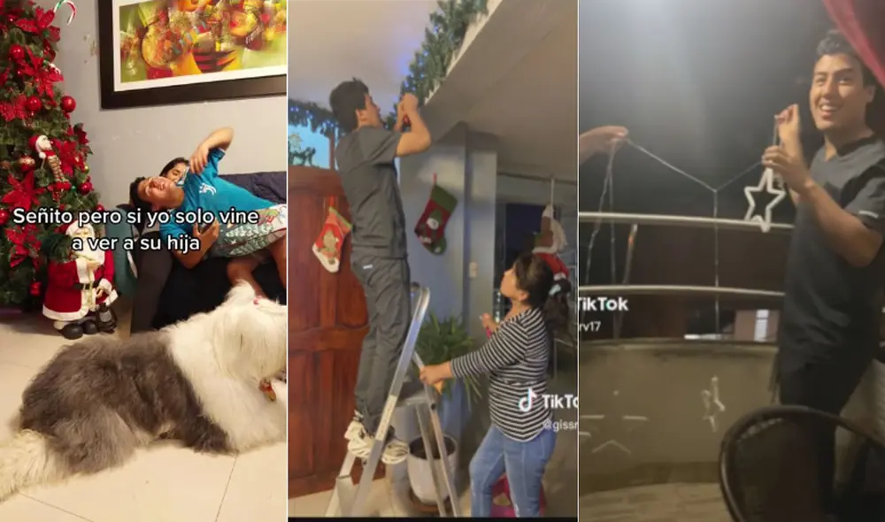 Miles de usuarios no han parado de reír con estas imágenes. Foto: composición LR/TikTok/@gissrv17