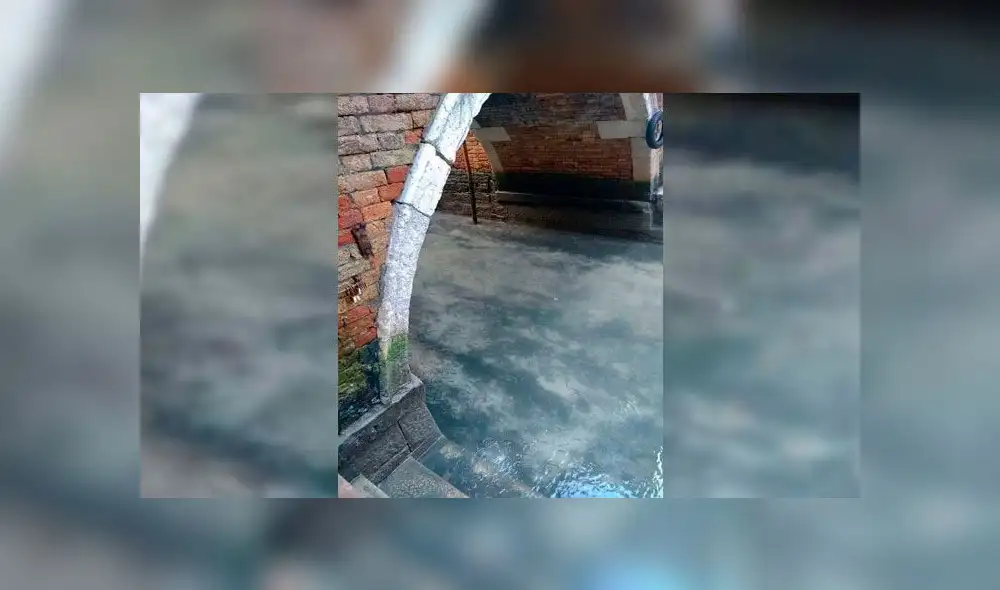 Venecia amanece distinta: canales lucen limpios tras ausencia de turistas por coronavirus [VIDEO] 