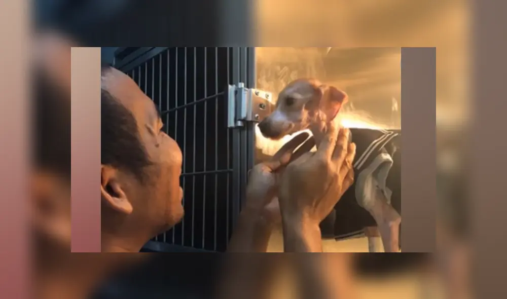 Desliza para ver más detalles sobre esta conmovedora historia que es viral en YouTube.