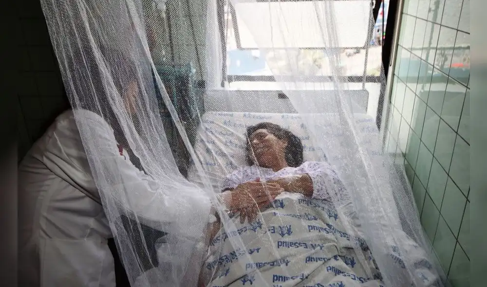 OMS habla de una epidemia por dengue en la región Piura OMS habla de una epidemia por dengue en la región Piura