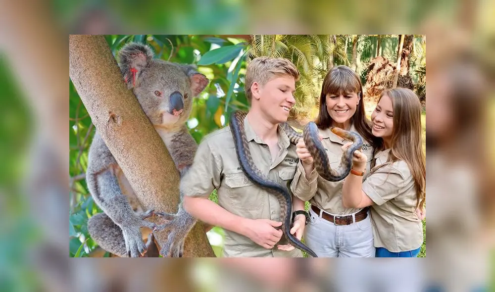 La familia de Steve Irwin pudo salvar la vida de más de 90 mil animales en los últimos días. Foto: Composición LR La familia de Steve Irwin pudo salvar la vida de más de 90 mil animales en los últimos días. Foto: Composición LR