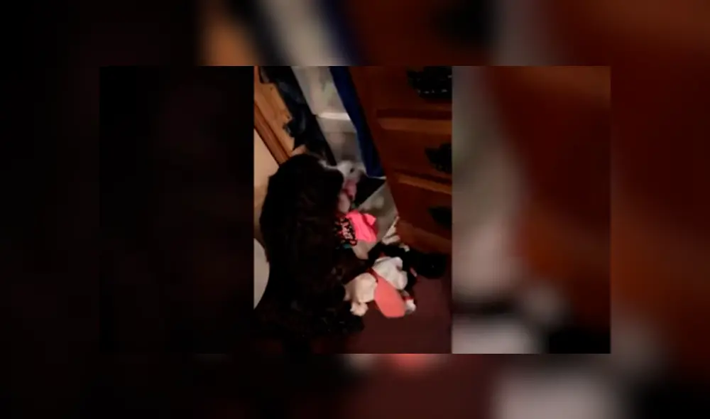 Desliza las imágenes hacia la izquierda para conocer la travesura que cometió un gato durante la distracción de su dueño.