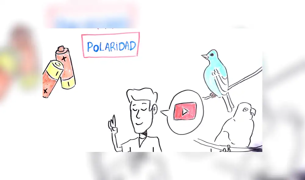 YouTube: ¿Por qué los pájaros no mueren al posarse sobre cables eléctricos? Descubre la respuesta [VIDEO] 