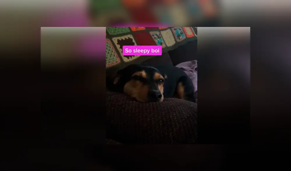 Desliza hacia la izquierda para ver las imágenes del viral de Facebook. Desliza hacia la izquierda para ver las imágenes del viral de Facebook.