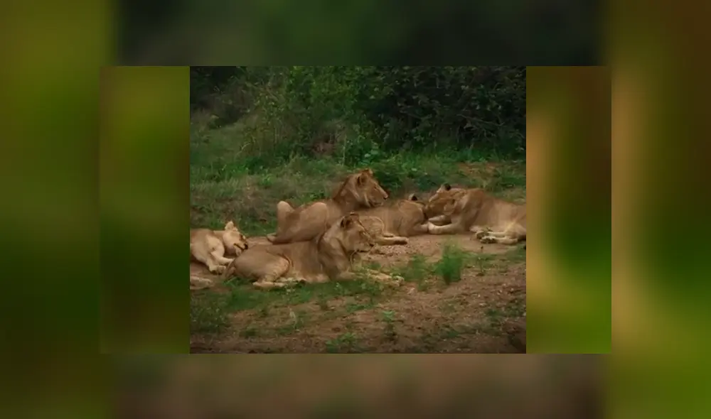 Desliza hacia la izquierda para ver las imágenes del video viral de YouTube.