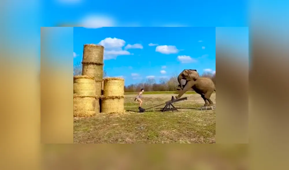 Desliza para ver todas las imágenes de TikTok. Foto: captura