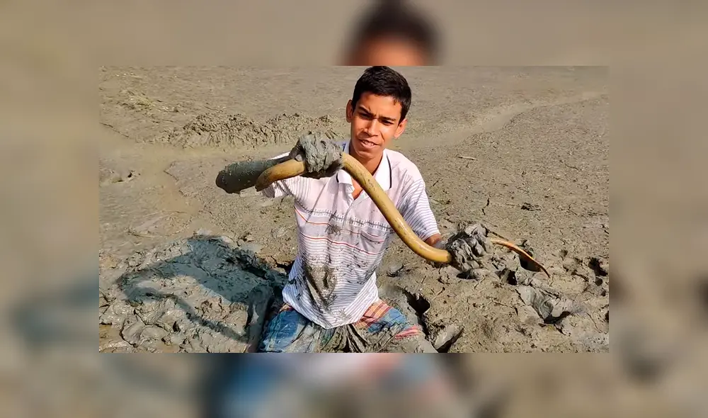 YouTube viral: joven se sumerge en estanque de fango y descubre misteriosa criatura cuyo aspecto sorprende a miles YouTube viral: joven se sumerge en estanque de fango y descubre misteriosa criatura cuyo aspecto sorprende a miles