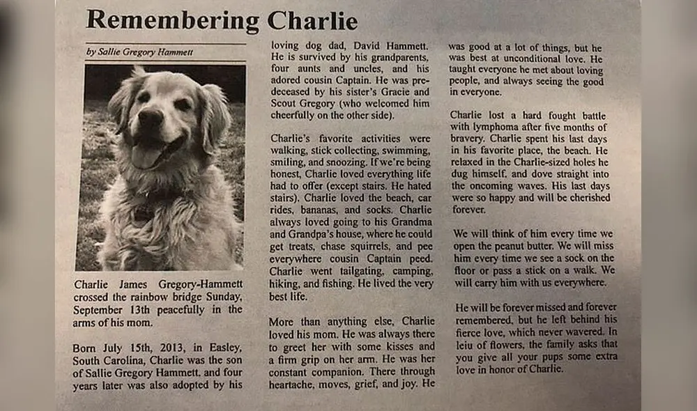 Desliza las imágenes para conocer el amoroso gesto de una mujer para recordar a su fiel mascota. Foto: Instagram Desliza las imágenes para conocer el amoroso gesto de una mujer para recordar a su fiel mascota. Foto: Instagram