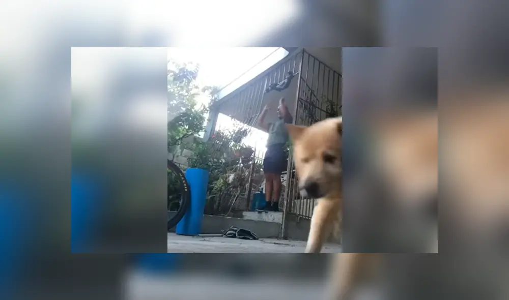 Desliza las imágenes hacia la izquierda para conocer la pesada broma que realizó un perro a su dueño.