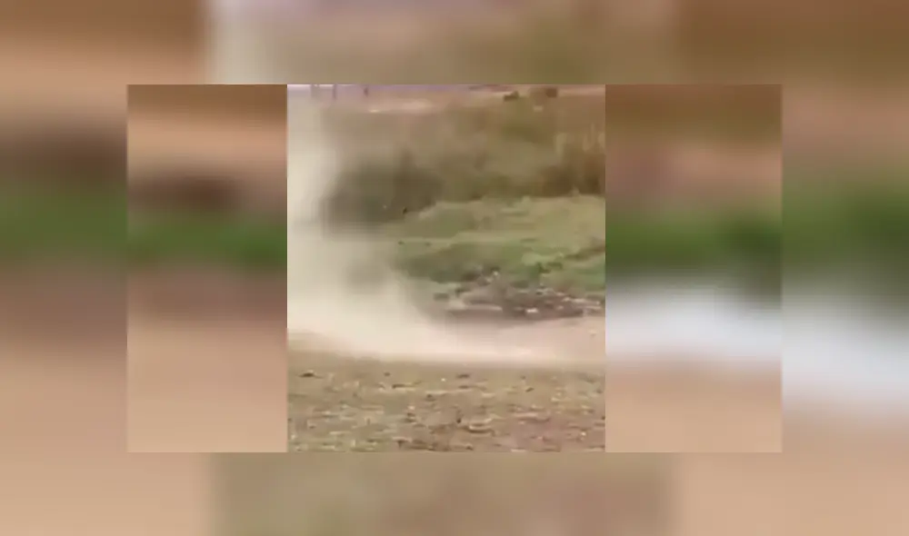 Una insólita escena muestra como un ciervo se salvó del ataque de una voraz leona. Una insólita escena muestra como un ciervo se salvó del ataque de una voraz leona.