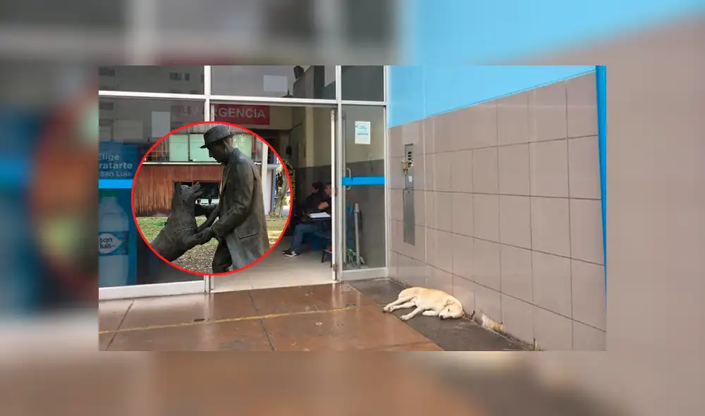 Vía Facebook: adoptan a 'Hachiko peruano' que esperaba a su dueño que murió en hospital [FOTOS]