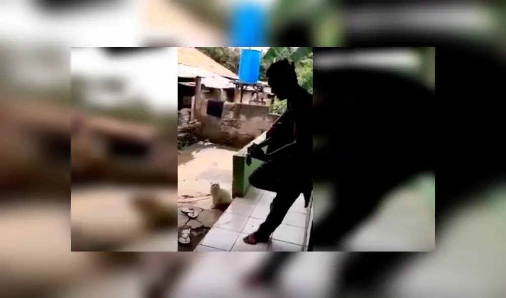 En YouTube, un joven interpretó una canción romántica y se sorprendió al tener como compañero a su gato. En YouTube, un joven interpretó una canción romántica y se sorprendió al tener como compañero a su gato.