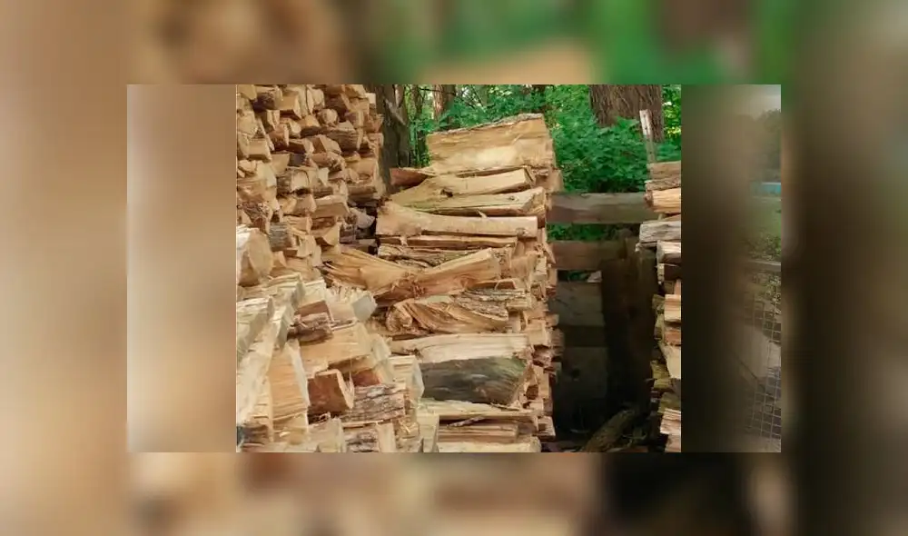 Desliza las imágenes para ver la ubicación de este travieso gato que se escondió entre leños para dormir la siesta. Foto: Facebook Desliza las imágenes para ver la ubicación de este travieso gato que se escondió entre leños para dormir la siesta. Foto: Facebook