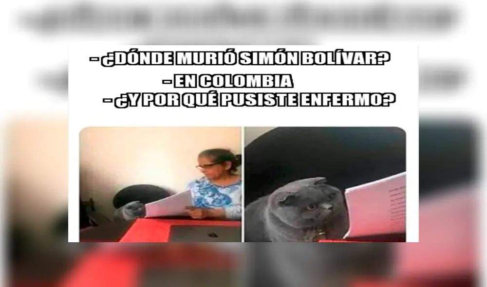 ¿Por qué pusiste? ¿Por qué pusiste?