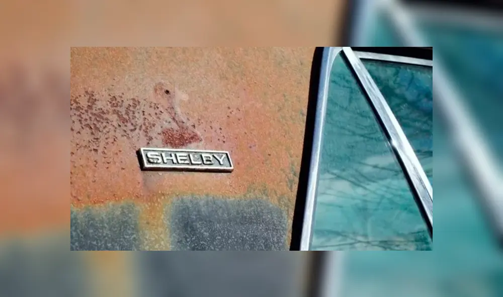 Auto encontrado en bosque vale más de un millón de dólares.